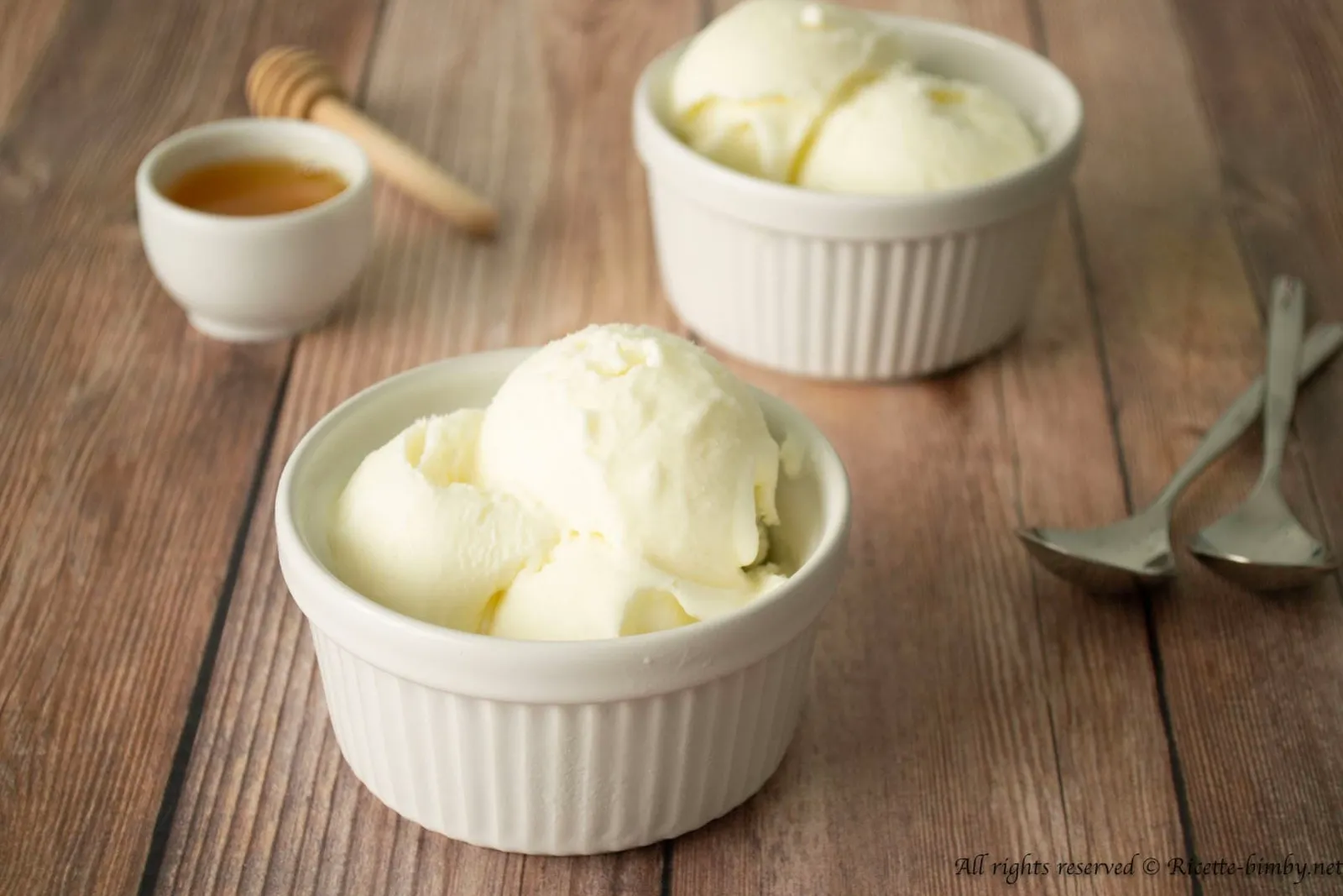 Gelato allo Yogurt Bimby