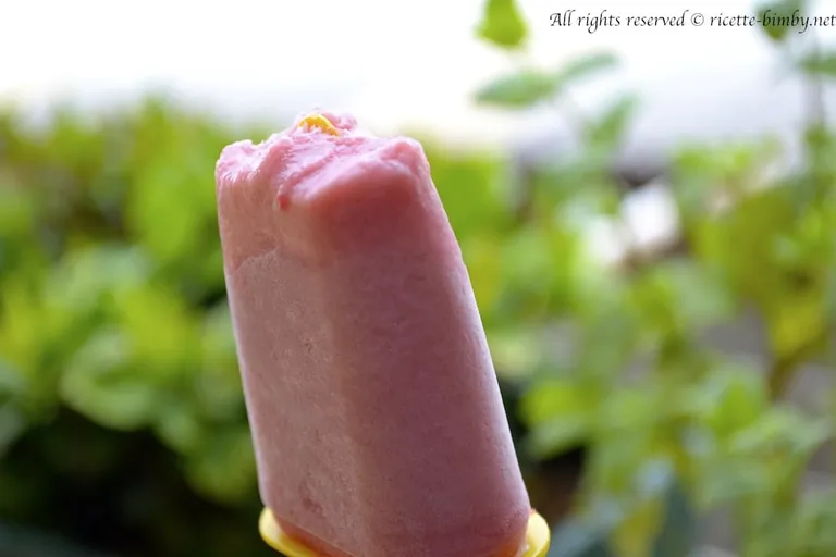 Gelato al Lampone Bimby