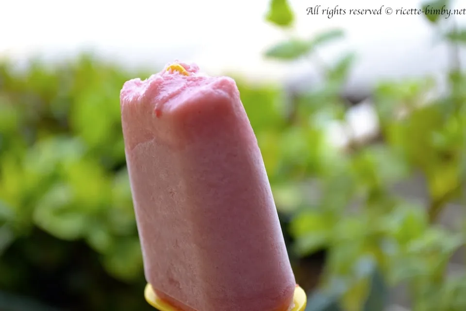 Gelato al Lampone Bimby