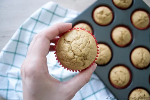 Muffin allo yogurt bimby