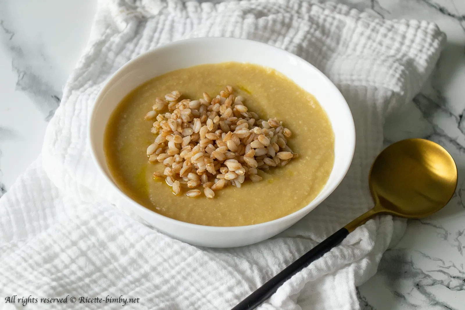 Vellutata di ceci con farro Bimby