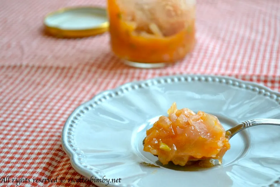 Salsa piccante di cipolle di Tropea Bimby