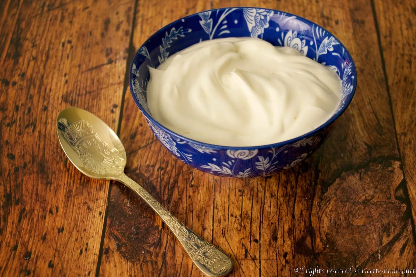 Maionese senza uova Bimby