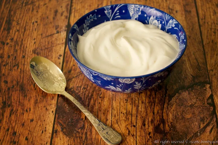 Maionese senza uova Bimby