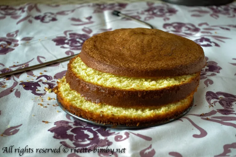 Pan di Spagna senza glutine Bimby