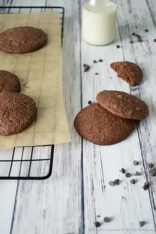 Biscotti al cioccolato senza glutine bimby