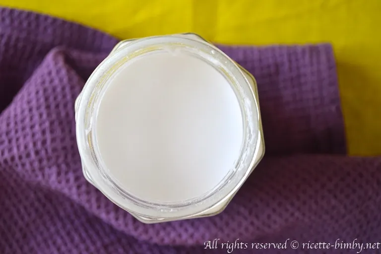 Latte di cocco Bimby