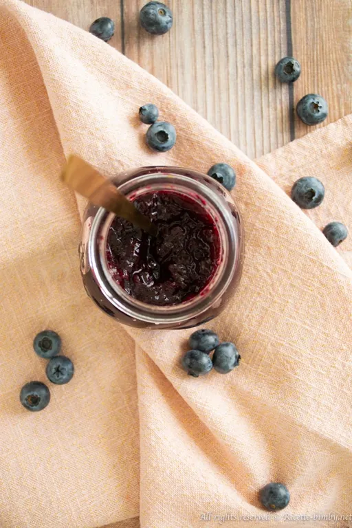 Marmellata ai mirtilli bimby