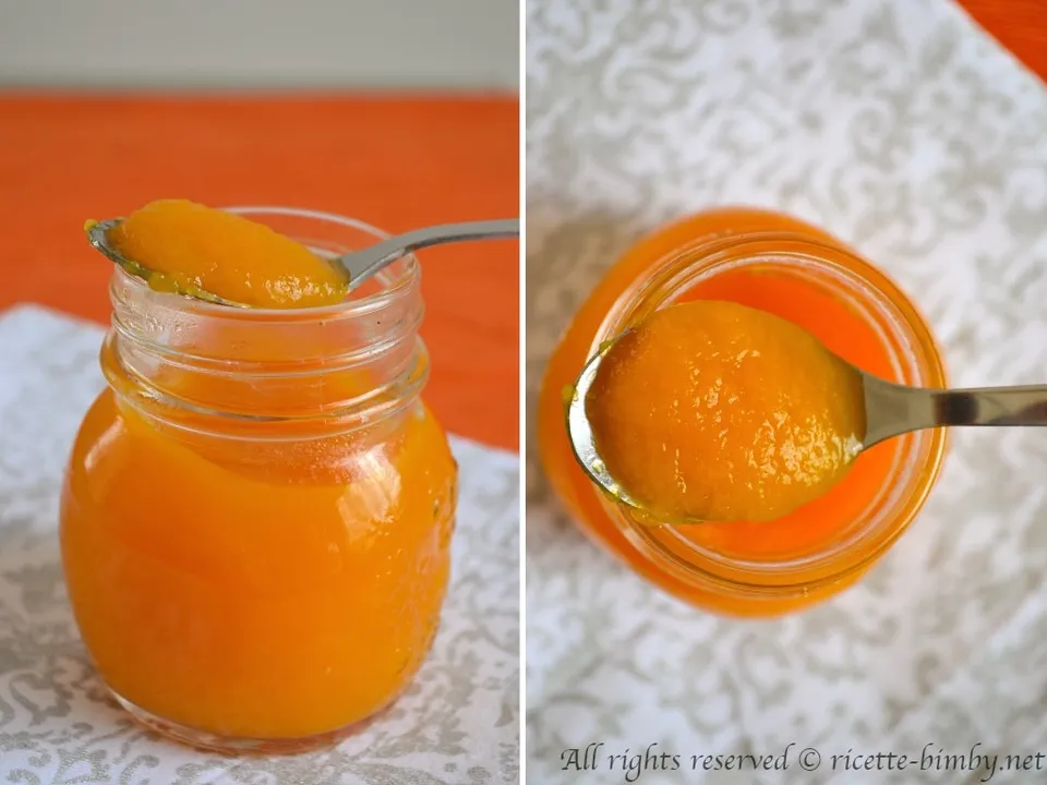 Ketchup di zucca Bimby