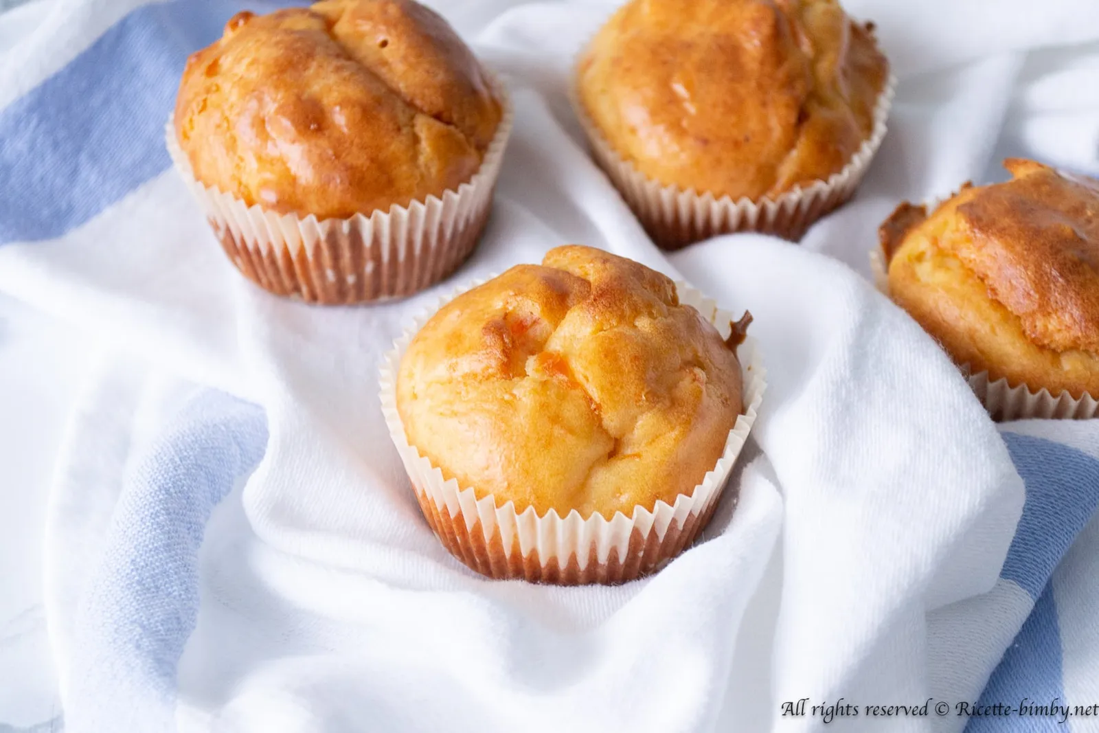 Muffin al salmone affumicato Bimby