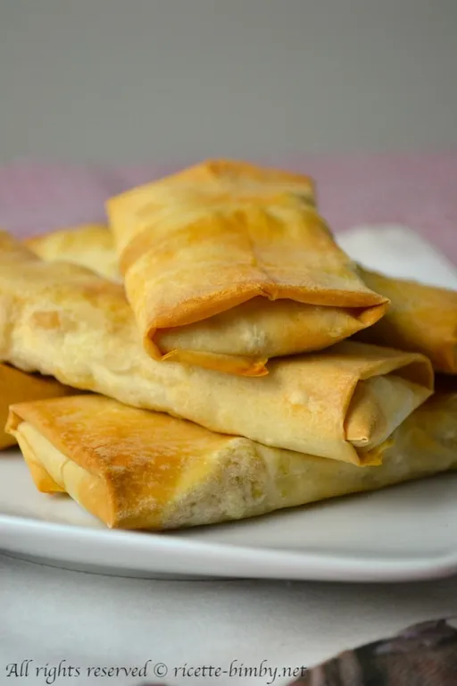 Involtini primavera bimby