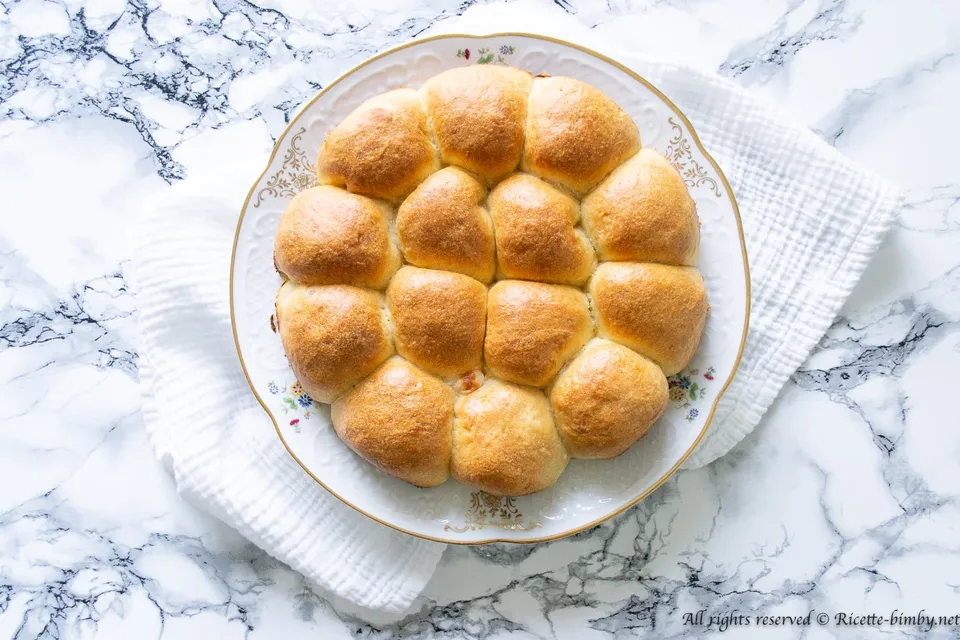 Danubio salato Bimby