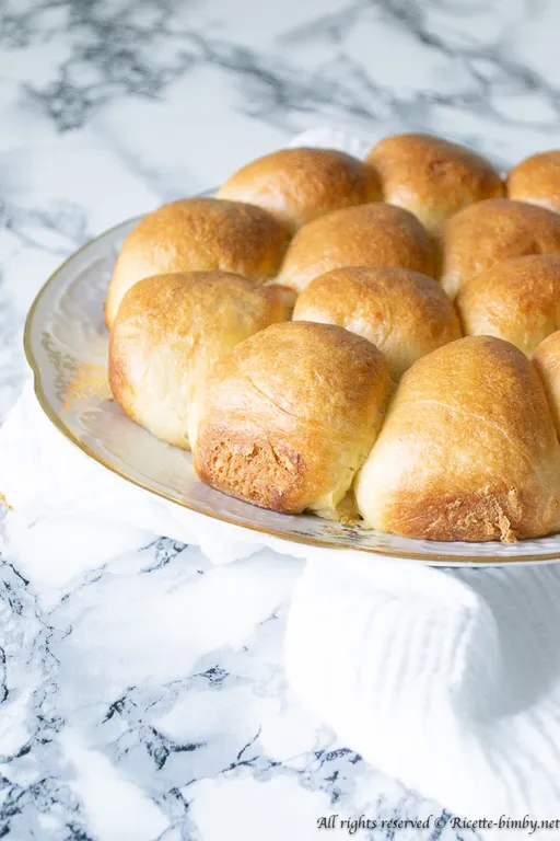 Danubio salato bimby