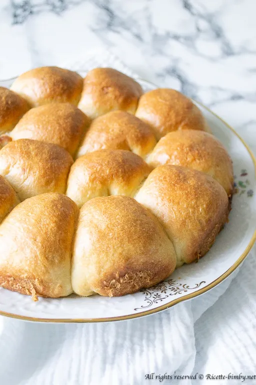 Danubio salato bimby