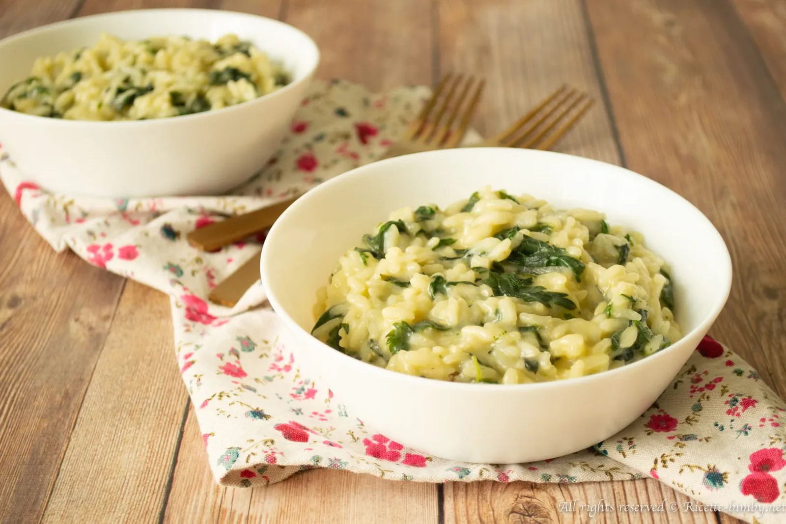 Risotto all'ortica Bimby