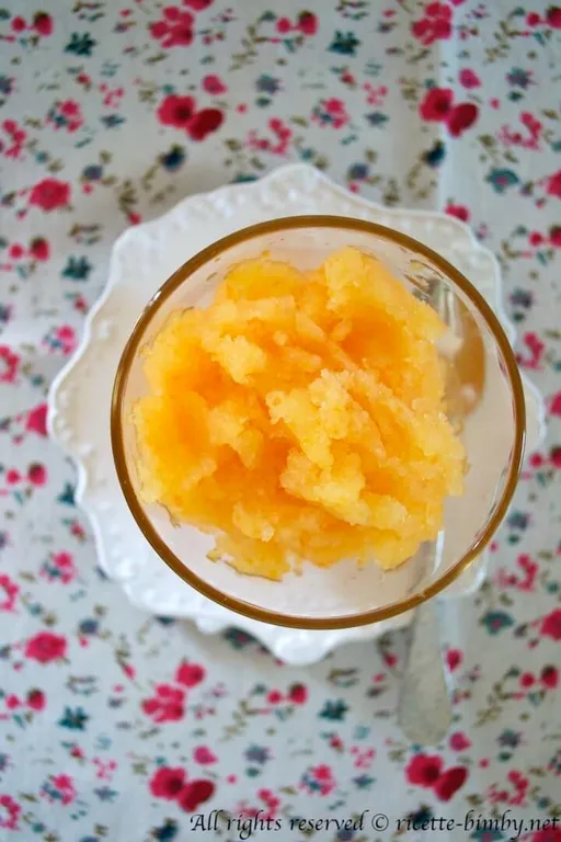 Sorbetto alla frutta bimby