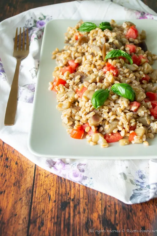 Insalata di orzo e melanzane bimby