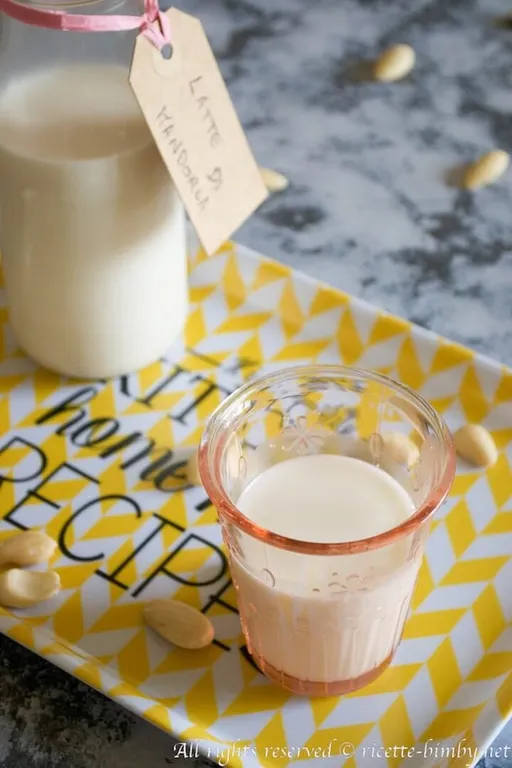 Latte di mandorla bimby