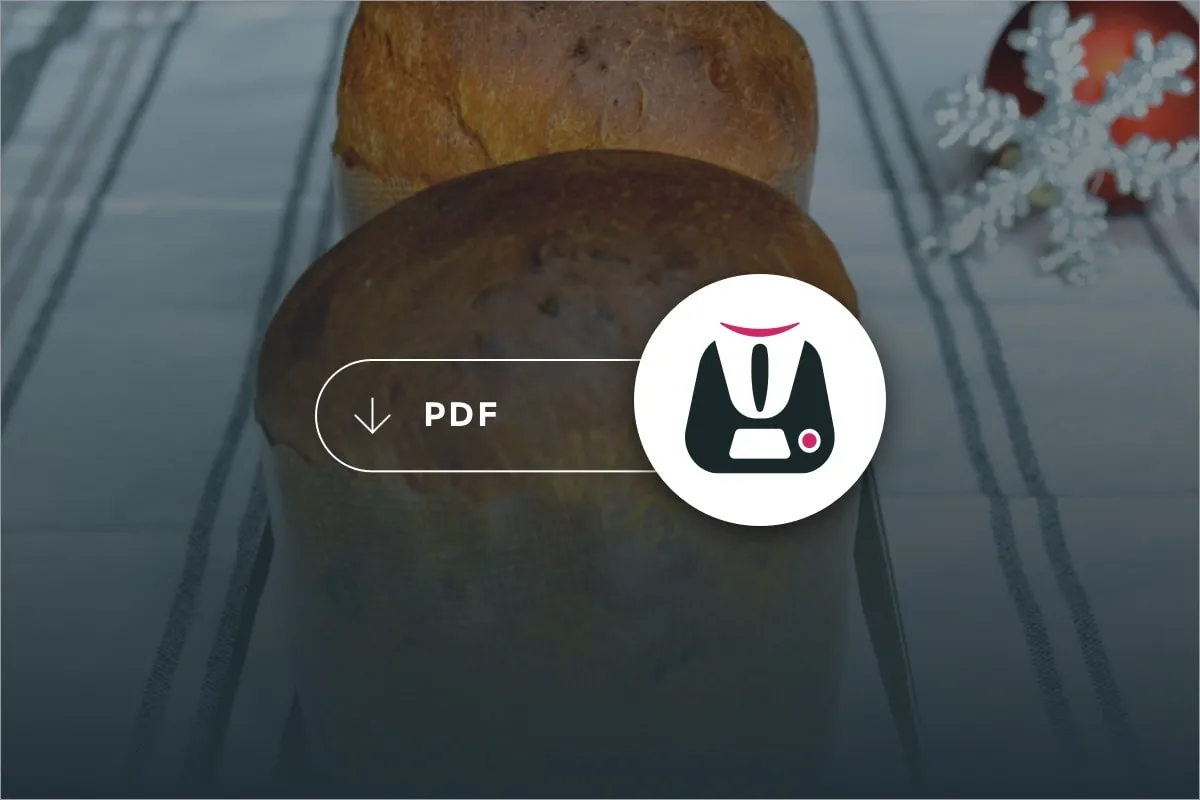 Pdf Dolci di Natale 2011 Bimby