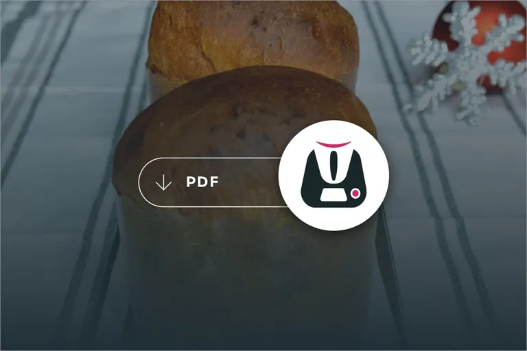 Pdf Dolci di Natale 2011 Bimby