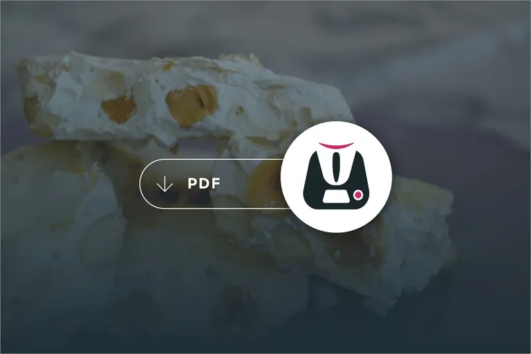 PDF Dolci di Natale Bimby 2012