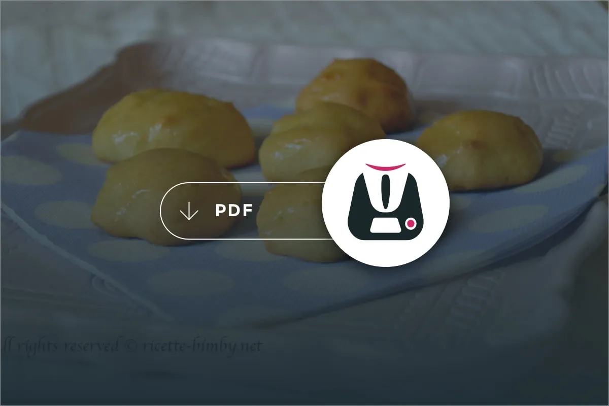 PDF Dolci di Natale Bimby 2013