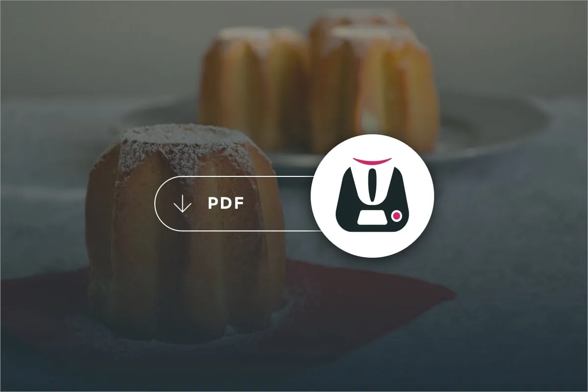 PDF Dolci di Natale Bimby 2015