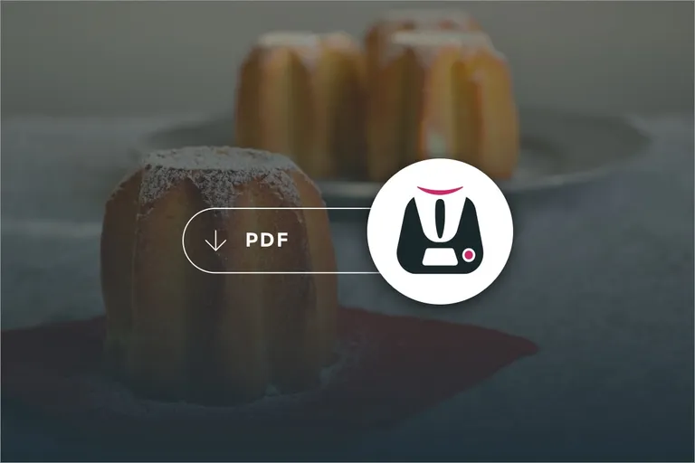 PDF Dolci di Natale Bimby 2015