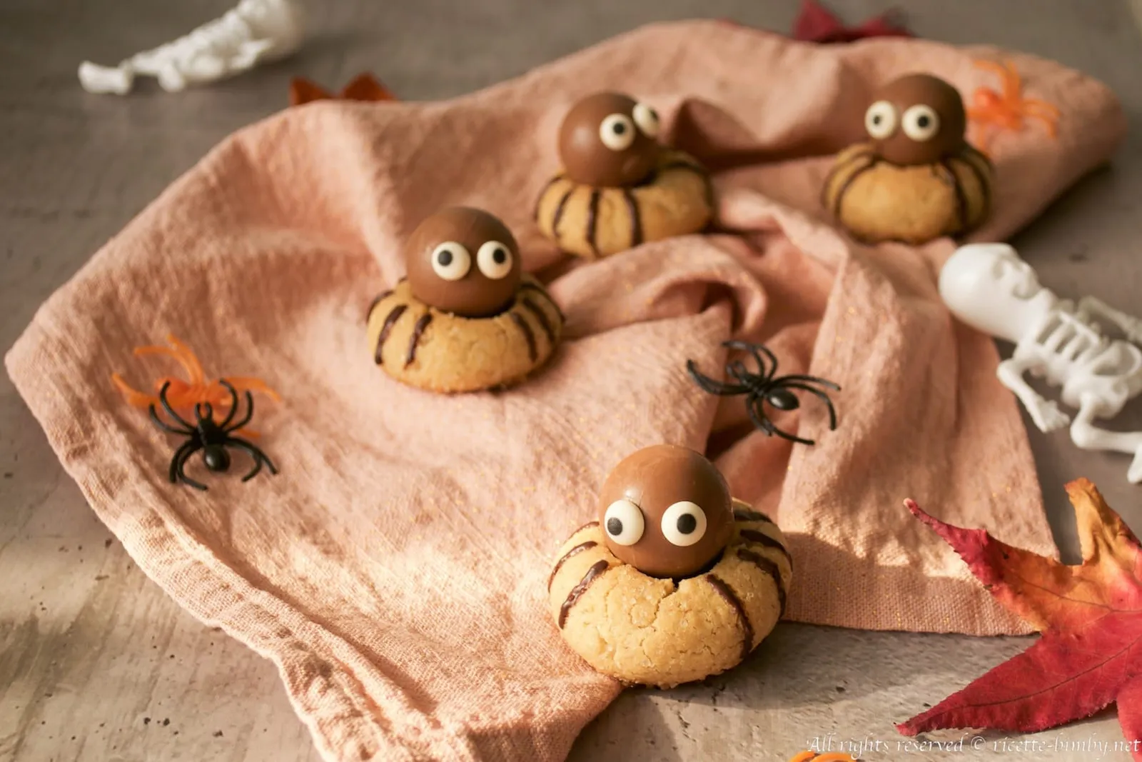 Biscotti Ragno Bimby