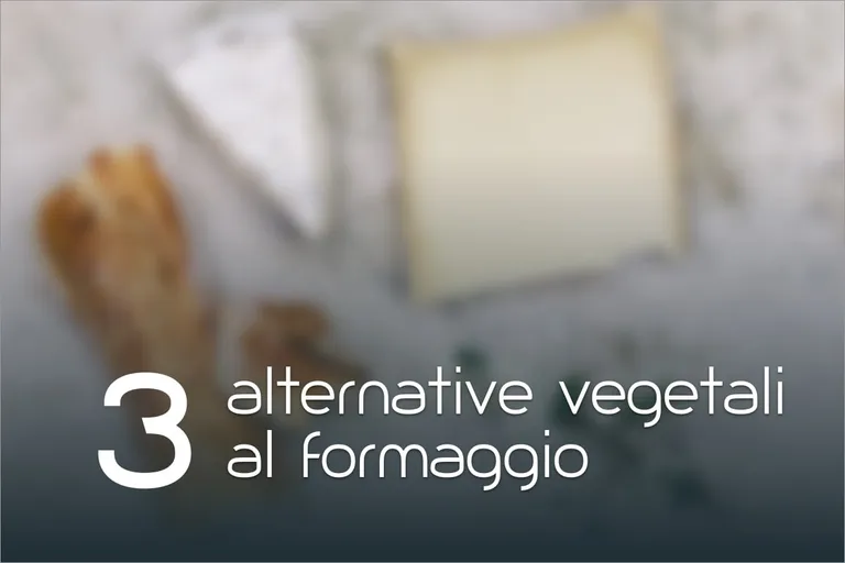 3 alternative vegetali al formaggio