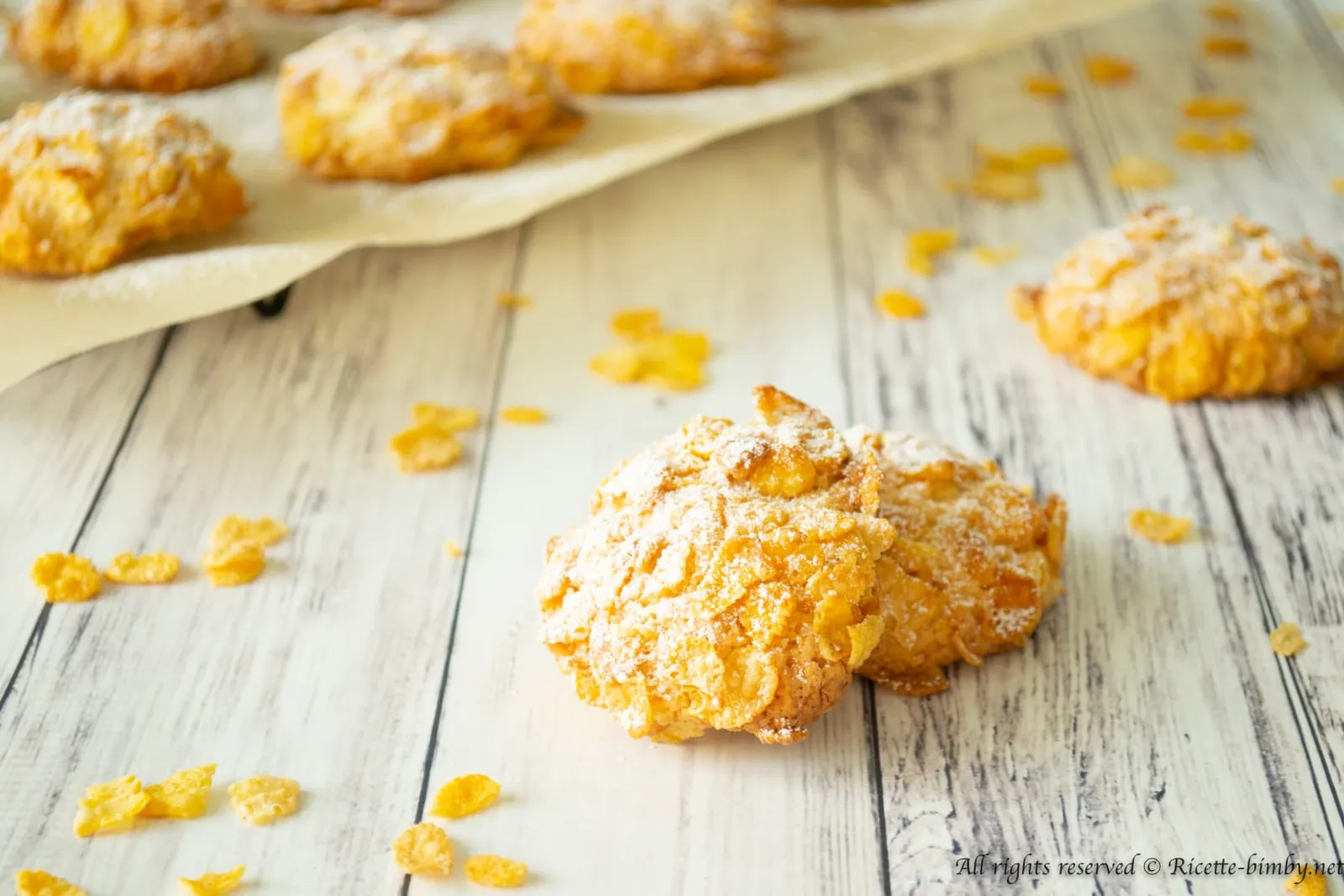 Rose del deserto Bimby