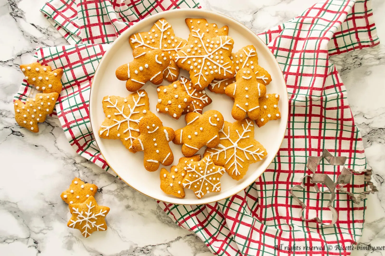 Biscotti pan di zenzero Bimby