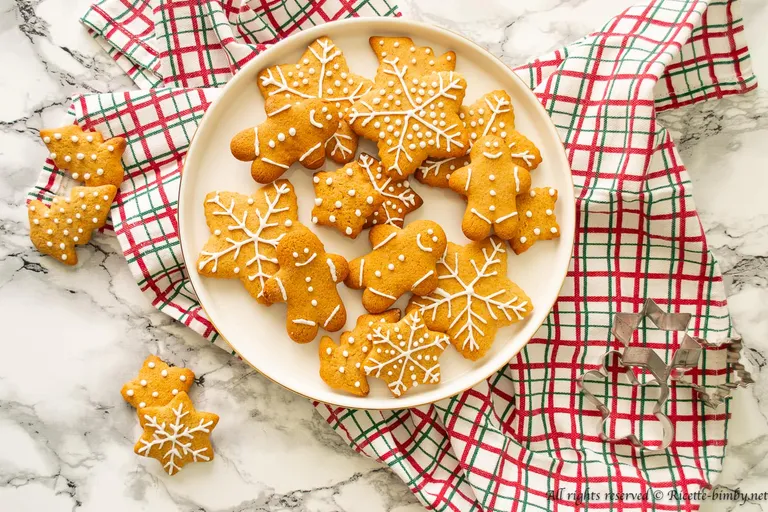 Biscotti pan di zenzero Bimby