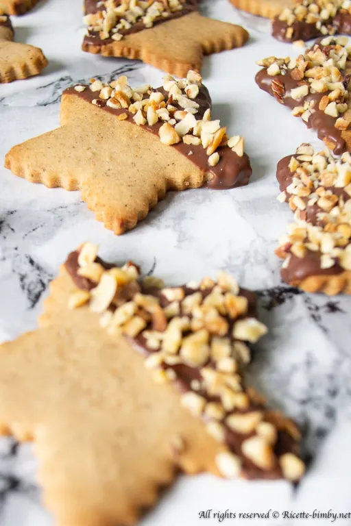 Biscotti di Natale con cioccolato bimby